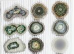 Lot: ~ Amethyst Stalactite Slices ( Pieces) #101743-1